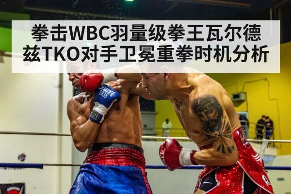 拳击WBC羽量级拳王瓦尔德兹TKO对手卫冕重拳时机分析